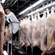 Image for article titled America's Food Safety Issues Will Make Your Stomach Turn